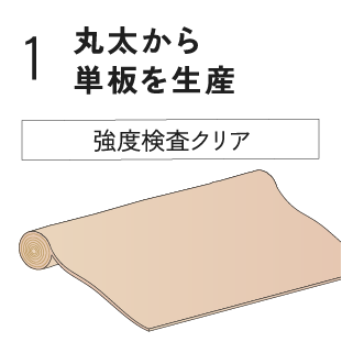 丸太から単板を生産 強度検査クリア